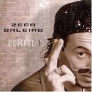 Zeca Baleiro-Perfil