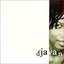 Djavan-Bicho Solto Xiii