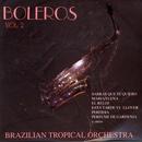 Brazilian Tropical Orchestra-Boleros / Volume 2