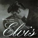 Travis Tritt / Tanya Tucker / Dwight Yoakam / The Mavericks / Melissa Etheridge e Outros-Its Now or Never - The Tribute to Elvis - Cd Importado (usa)