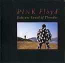 Pink Floyd-Delicate Sound Of Thunder / Cd Duplo