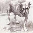 Alice In Chains-Alice In Chains
