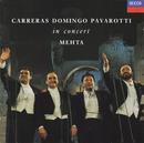 Carreras / Domingo / Pavarotti / Outros-In Concert / Importado Germany
