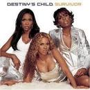 Destiny's Child-Survivor