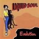 Liquid Soul-Evolution / Cd Importado