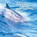 Naturescape-Ocean Odyssey
