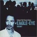 Eagle Eye Cherry-Living In The Present Future