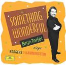Bryn Terfel / Paul Daniel / English Northern Philharmonia-Something Wonderful / Importado da (europa)