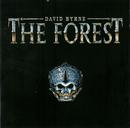 David Byrne-The Forest