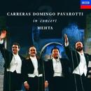 Carreras / Placido Domingos / Luciano Pavarotti With Mehta-Carreras Domingo Pavarotti In Concert / Mehta