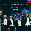 Carreras / Placido Domingos / Luciano Pavarotti With Mehta-Carreras Domingo Pavarotti In Concert / Mehta