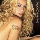 Shakira-Laundry Service