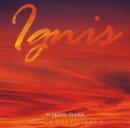 Marcus Viana-Ignis