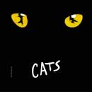 Andrew Lloyd Webber / Martin Levan-Cats / Cd Duplo Importado (usa)