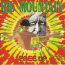 big mountain-free up