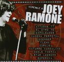 attaque 77 / el outro yo / expulsados / cadena perpetua-homenaje a joey ramone