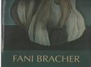 Fani Bracher-Frederico Moraes / Ronald Polito (textos)