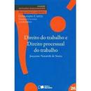 Direito do Trabalho e Direito Processual do Trabalho / Trabalho-Josyanne Nazareth de Souza