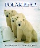 Polar Bear-Dawns Matthews