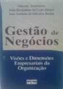 Gestao de Negocios / Visoes e Dimensoes Empresariais da Organizacao-Takeshy Tachizawa / Joao Benjamim da Cruz Junior 