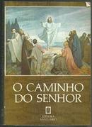 O Caminho do Senhor / Catecismo para Adultos-Editora Santuario Aparecida