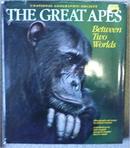 The Great Apes / Between Two Worlds / National Geographic Society-Michael Nichols
