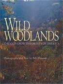 Wild Woodlands / The Old Growth Forests Of America-Bill Thomas / Photographs and Text