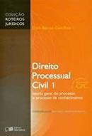 Direito Processual Civil 1 / Teoria Geral do Processo e Processo de C-Erich Bernat Castilhos