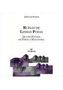 Ruinas de Linhas Puras / Quatro Ensaios em Torno a Macunaima-Jose Luiz Passos