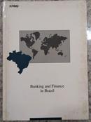 Banking and Finance In Brazil-Editora Kpmg Peat Marwick