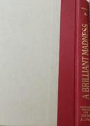 A Brilliant Madness / Living With Manic Depressive Illness-Patty Duke / Gloria Hochman