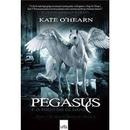 Pegasus e o Fogo do Olimpo / Livro 1 / Serie Olimpo em Guerra-Kate Ohearn