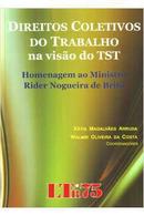 Direitos Coletivos do Trabalho na Visao do Tst-Katia Magalhaes Arruda / Walmir Nogueira de Brito