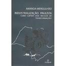 Industrializacao Paulista / Como Captar Dois Seculos de Transformao-Amanda Mergulhao