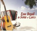 chico csar / elba ramalho / netinho / outros-esse brasil de sons e cores - cd 5