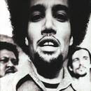 ben harper-the will to live