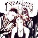 arnaldo antunes / carlinhos brown / marisa monte-tribalista