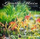 Rick Rhodes-Gentle Rain