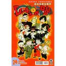 Dragon Ball / VOLUME 24 /  EDICAO BRASILEIRA / AS ESFERAS DO DRAGAO-Akira Toriyama