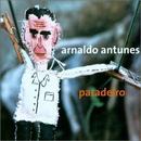 arnaldo antunes-paradeiro