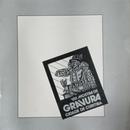 VIII Mostra de Gravura Cidade de Curitiba-editora Fundao Cultural de Curitiba