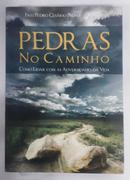 Pedras no Caminho / Como Lidar Com as Adversidades da Vida-Pedro Cesario Palma / Frei Ofmcap