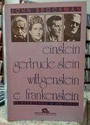 EINSTEIN , GERTRUDE STEIN, WITTGENSTEIN E FRANKENSTEIN REINVENTANDO O UNIVERSO-JOHN BROCKMAN