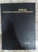 BIBLIA SAGRADA CONTENDO O VELHO E O NOVO TESTAMENTO-JOO FERREIRA DE ALMEIDA