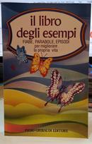 IL LIBRO DEGLI ESEMPI / FIABE, PARABOLE, EPISODI PER MIGLIORARE LA PROPRIA VITA-PIER DAUBRIGY