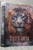 TIGERS DESTINY / VOL. 1-COLLEEN HOUCK