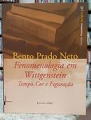 FENOMENOLOGIA EM WITTGENSTEIN / TEMPO, COR E FIGURA��O / COLE��O PHILOSOPHIA ANALYTICA-BENTO PRADO NETO