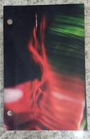 Exposi��o das Tripas-Paulo Sandrini