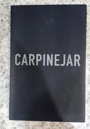 Carpinejar Poesia-FABRICIO CARPINEJAR