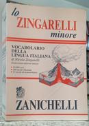 LO ZINGARELLI MINORE / VOCABULARIO DELLA LINGUA ITALIANA DI NICOLA ZINGARELLI-NICOLA ZINGARELLI
